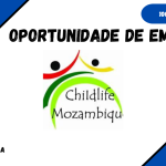 Childlife Mozambique