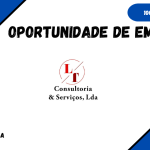 LT Consultoria e Serviços