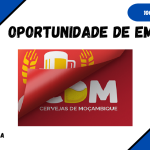 A Cervejas De Moçambique (CDM) Está Recrutar (03) Candidatos em Diversas Posições