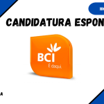 Candidatura Espontânea no BCI – 2024