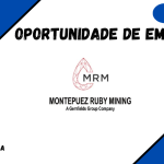 Montepuez Ruby Mining Lda